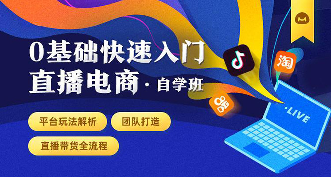 0基础快速入门直播电商课程：直播平台玩法解析-团队打造-带货全流程等环节-源创资源网