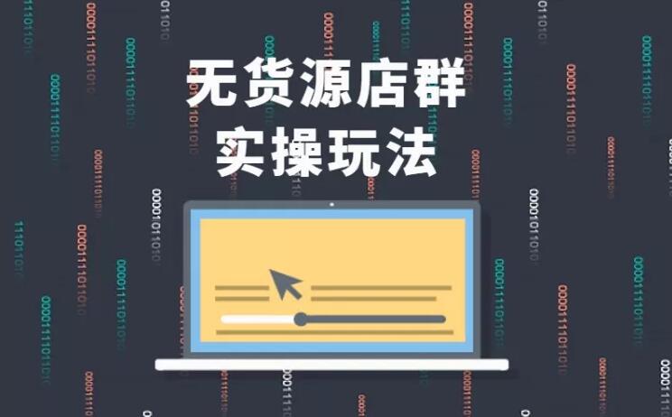 无货源店群实操玩法，蓝海选品的独特思路，店群软件操作方法（45节视频课）-源创资源网
