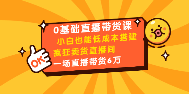 0基础直播带货课：小白也能低成本搭建疯狂卖货直播间：1场直播带货6万-源创资源网