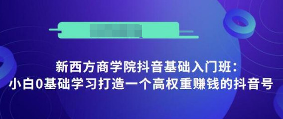 抖音基础入门班：小白0基础学习打造一个高权重赚钱的抖音号-源创资源网