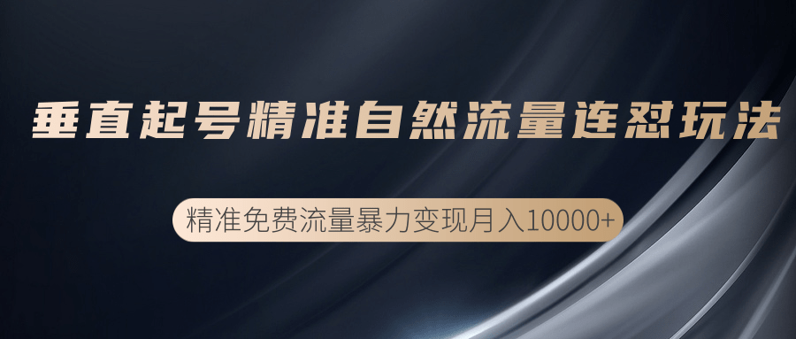 垂直起号精准自然流量连爆玩法，精准引流暴力变现月入10000+-源创资源网
