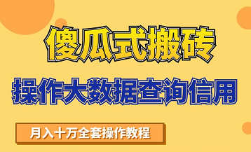 搬砖操作大数据查询信用项目赚钱教程，祝你快速月入6万-源创资源网