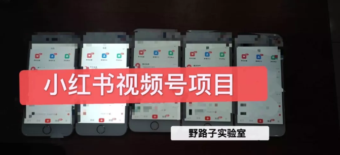 野路子小红书视频号1.0项目，直接上手操作就能赚钱的视频号项目-源创资源网