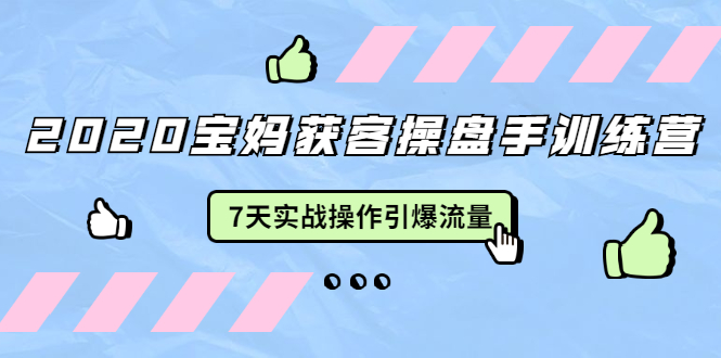 2020宝妈获客操盘手训练营：7天实战操作引爆 母婴、都市、购物宝妈流量-源创资源网