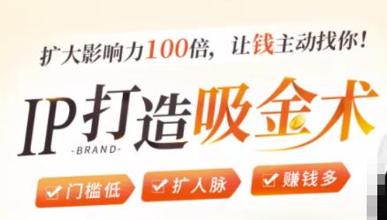 IP打造吸金术：0基础0资源，也能扩大影响力100倍，让钱主动找你！-源创资源网