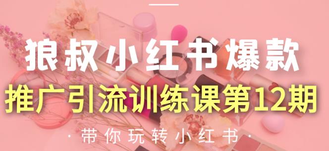 狼叔小红书爆款推广引流训练课第12期，手把手带你玩转小红书-源创资源网
