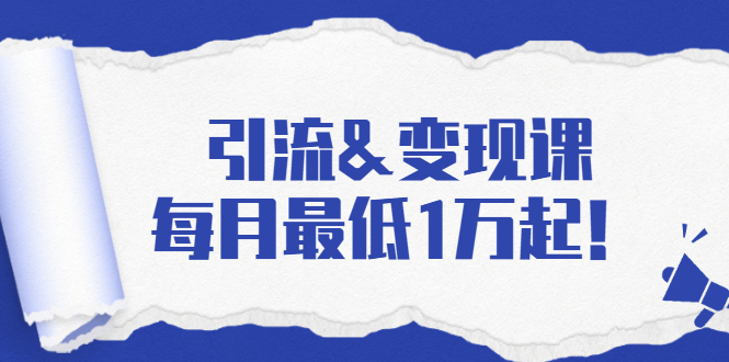 引流&变现课：分享一整套流量方法以及各个渠道收入，每月最低1万起！-源创资源网