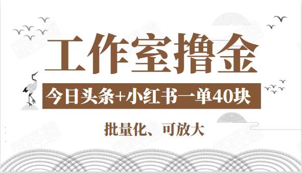 工作室撸金二件套：撸今日头条原创收益+小红书一单利润40块项目-源创资源网