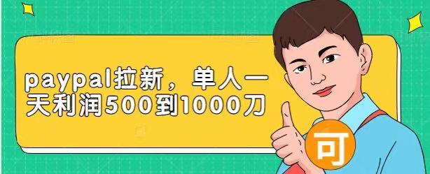 Paypal拉新赚美刀项目，单人一天利润500-1000刀【视频课程】-源创资源网