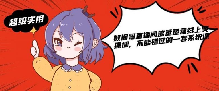 数据哥直播间流量运营线上实操课，不能错过的一套系统课-源创资源网