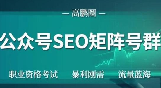 高鹏圈公众号SEO矩阵号群，实操20天纯收益25000+，普通人都能做-源创资源网