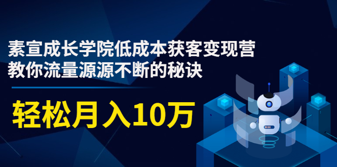 素宣成长学院低成本获客变现营，教你流量源源不断的秘诀，轻松月入10万-源创资源网
