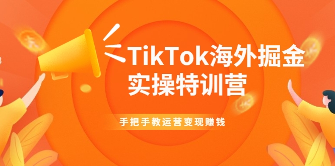 TikTok海外掘金实操特训营：手把手教运营变现赚钱-源创资源网