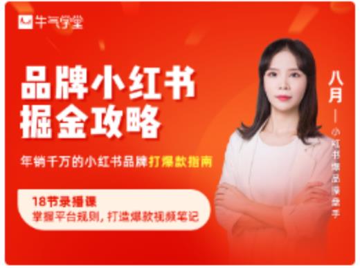 品牌小红书掘金攻略，年销千万的小红书品牌打爆款指南-源创资源网