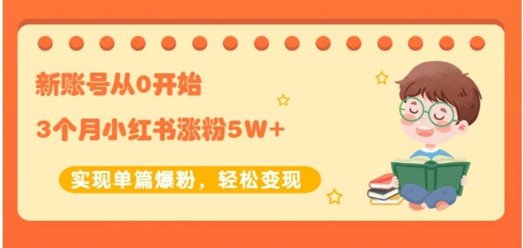 生财小红书涨粉变现：新账号从0开始3个月小红书涨粉5W+实现单篇爆粉-源创资源网