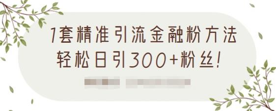 1套精准引流金融粉方法，轻松日引300+粉丝-源创资源网