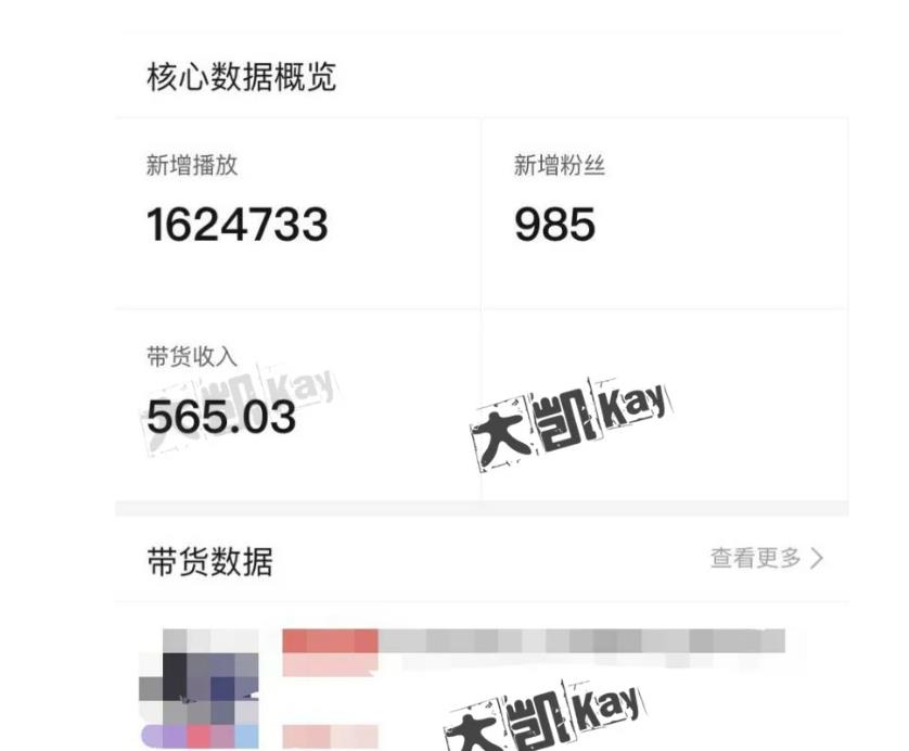 大凯进阶圈新玩法之拼多多视频玩法，利润大概一个号一天能有500~1500的左右!-源创资源网