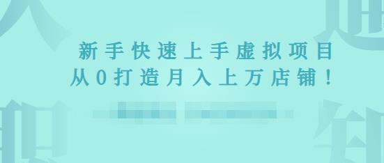2022年虚拟项目实战指南，新手从0打造月入上万店铺-源创资源网