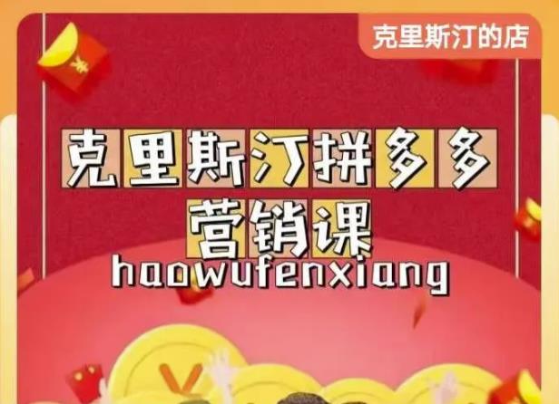 克里斯汀拼多多运营课，适合小白初涉平台，低成本入门-源创资源网