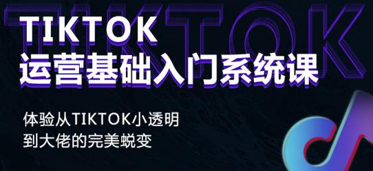 Tiktok实操进阶课程，体验从tiktok小透明到大佬的完美蜕变-源创资源网