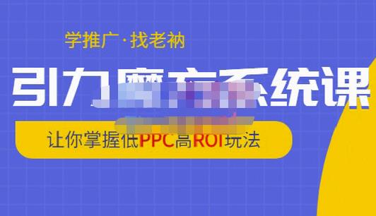 老衲·引力魔方系统课，让你掌握低PPC高ROI玩法，价值299元-源创资源网