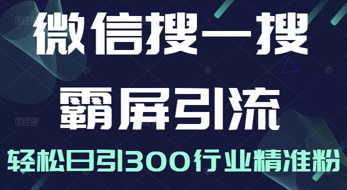 微信搜一搜霸屏引流课，打造被动精准引流系统，轻松日引300行业精准粉-源创资源网