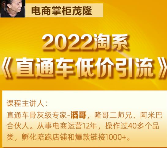 茂隆2022直通车低价引流玩法，教大家如何低投入高回报的直通车玩法-源创资源网