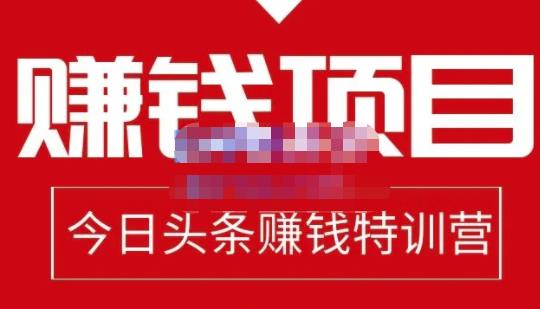 懒人领域·今日头条项目玩法，头条中视频项目，单号收益在50—500可批量-源创资源网