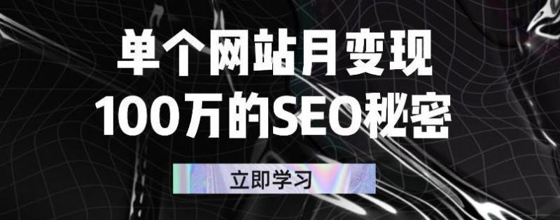 单个网站月变现100万的SEO秘密，百分百做出赚钱站点-源创资源网
