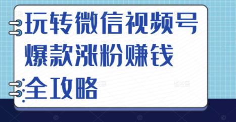玩转微信视频号爆款涨粉赚钱全攻略，让你快速抓住流量风口，收获红利财富-源创资源网