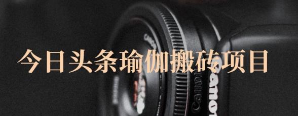 猎人社区·今日头条瑜伽搬砖项目，单号一天几十收入，可以批量操作！-源创资源网