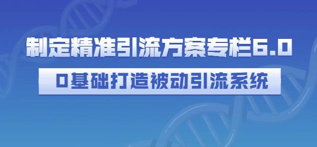 制定精准引流方案专栏6.0，0基础打造被动引流系统-源创资源网