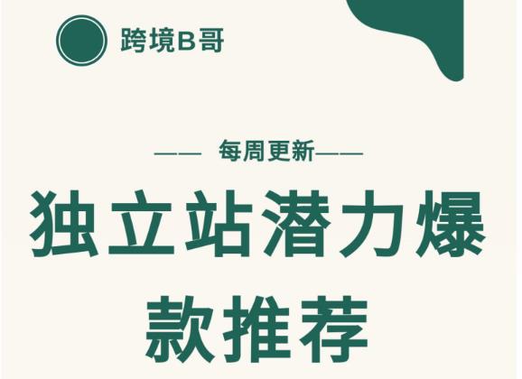 【跨境B哥】独立站潜力爆款选品推荐，测款出单率高达百分之80-源创资源网