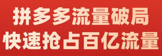 阿杰·拼多多流量破局:如何打黑标，爆款的思路，拼多多流量框架，快速抢占百亿流量-源创资源网