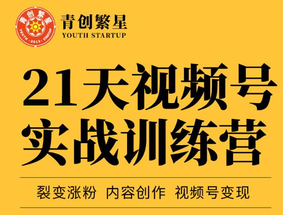 张萌21天视频号实战训练营，裂变涨粉、内容创作、视频号变现 价值298元-源创资源网