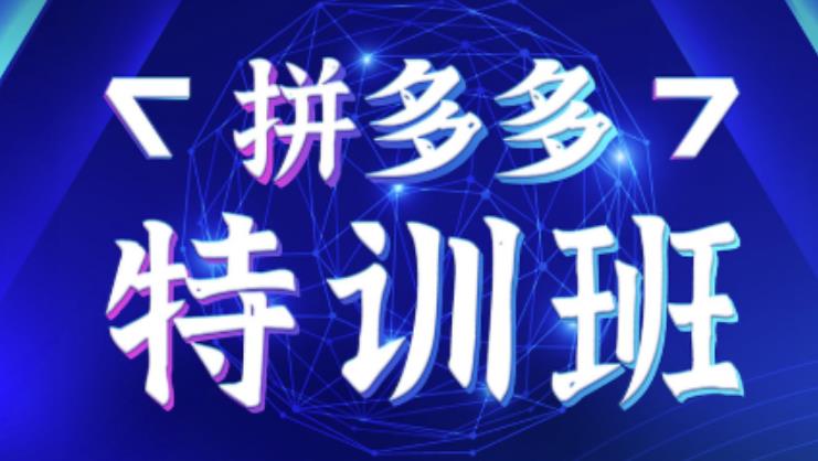 星雪教育·拼多多基础班+进阶班+突破班，用系统的学习模式快速改变现状价值3580元-源创资源网