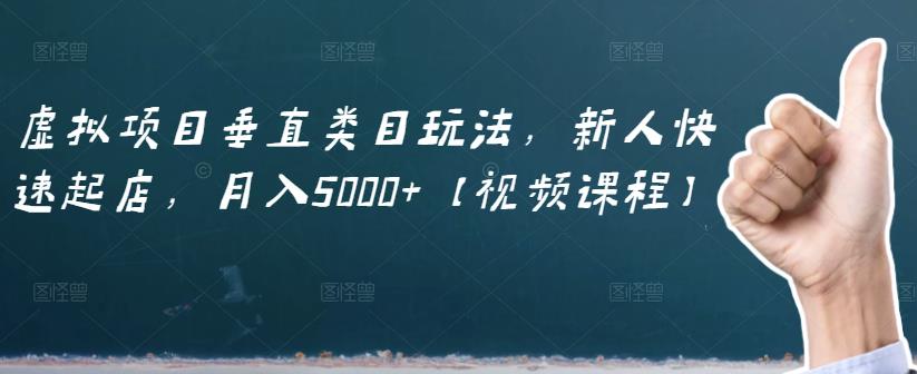 虚拟项目垂直类目玩法，新人快速起店，月入5000+【视频课程】-源创资源网