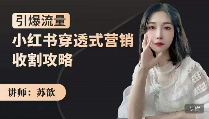 苏歆：小红书穿透式营销收割攻略，引爆流量，助你玩转小红书-源创资源网
