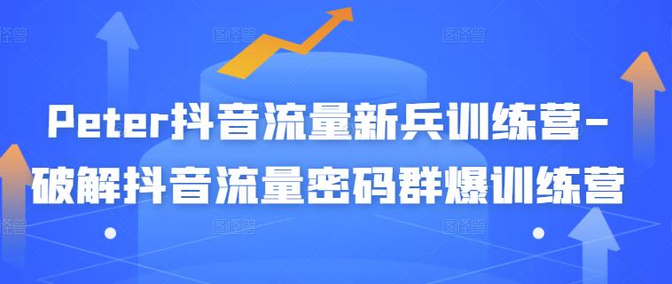 Peter抖音流量新兵训练营-破解抖音流量密码群爆训练营（新兵）-源创资源网