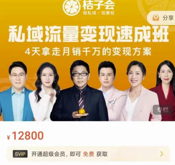 桔子会·私域流量变现速成班，4天拿走月销千万的变现方案 价值12800元-源创资源网