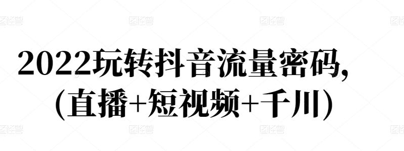 2022玩转抖音流量密码，(直播+短视频+千川)-源创资源网