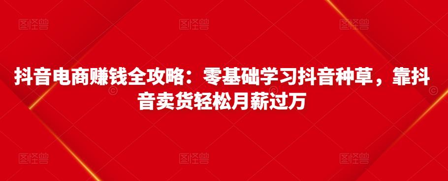 抖音电商赚钱全攻略：零基础学习抖音种草，靠抖音卖货轻松月薪过万-源创资源网