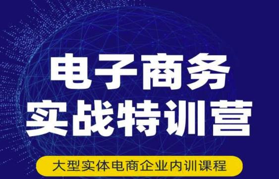 民赛电气内部出品：电子商务实战特训营，全方位带你入门电商，308种方式玩转电商-源创资源网