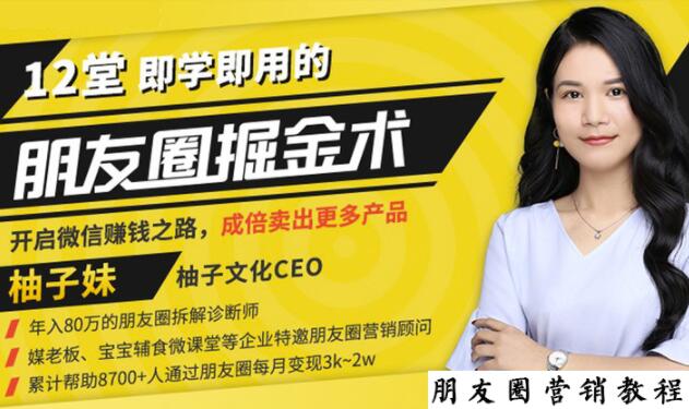 【营销必学】12堂学之即用的朋友圈掘金术：开启你的副业赚钱之路-源创资源网
