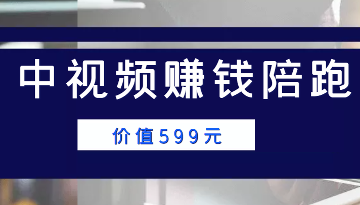 中视频赚钱陪跑，卖中视频账户赚钱收益陪跑项目（价值599元）-源创资源网