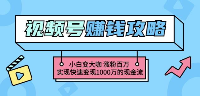 玩转微信视频号赚钱：小白变大咖涨粉百万实现快速变现1000万的现金流-源创资源网
