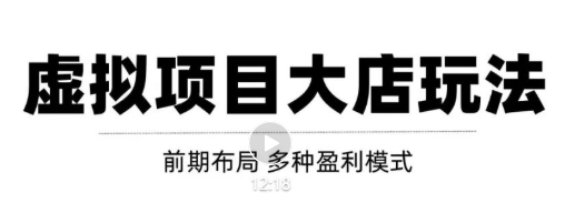 虚拟项目月入几万大店玩法分享，多店操作利润倍增（快速起店盈利）-源创资源网