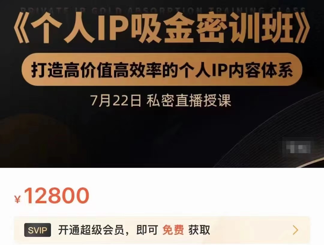 个人IP吸金密训班，打造高价值高效率的个人IP内容体系（价值12800元）-源创资源网