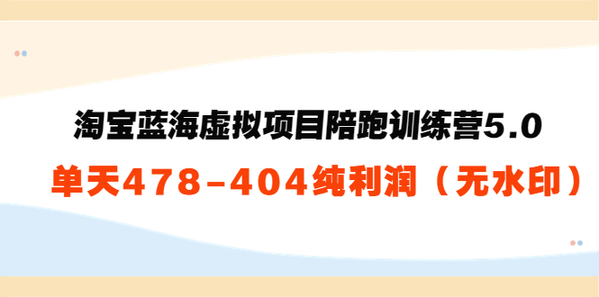 淘宝蓝海虚拟项目陪跑训练营5.0：单天478纯利润-源创资源网