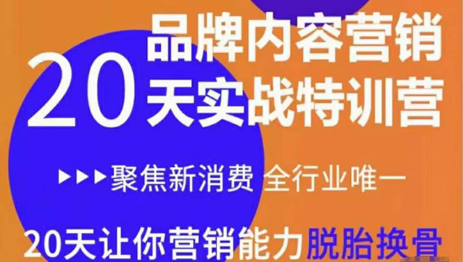 《内容营销实操特训营》20天让你营销能力脱胎换骨（价值3999）-源创资源网